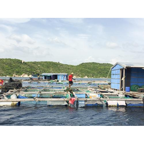 Phó Thủ tướng Trịnh Đình Dũng: Tập trung khắc phục hậu quả bão số 5